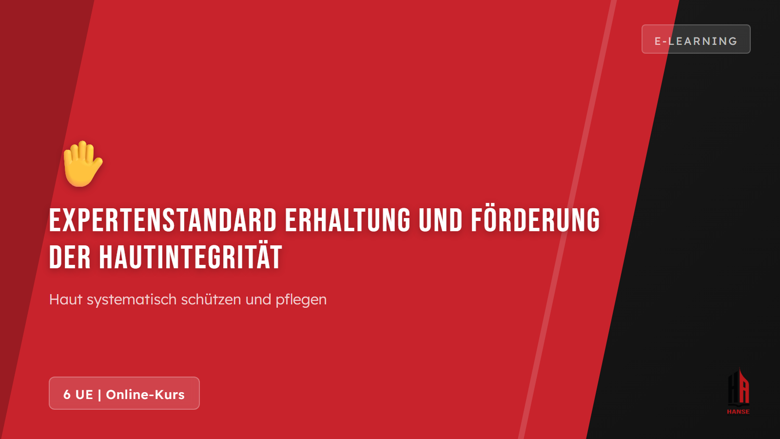 Expertenstandard Erhaltung und Förderung der Hautintegrität