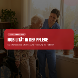 Expertenstandard Erhaltung und Förderung der Mobilität
