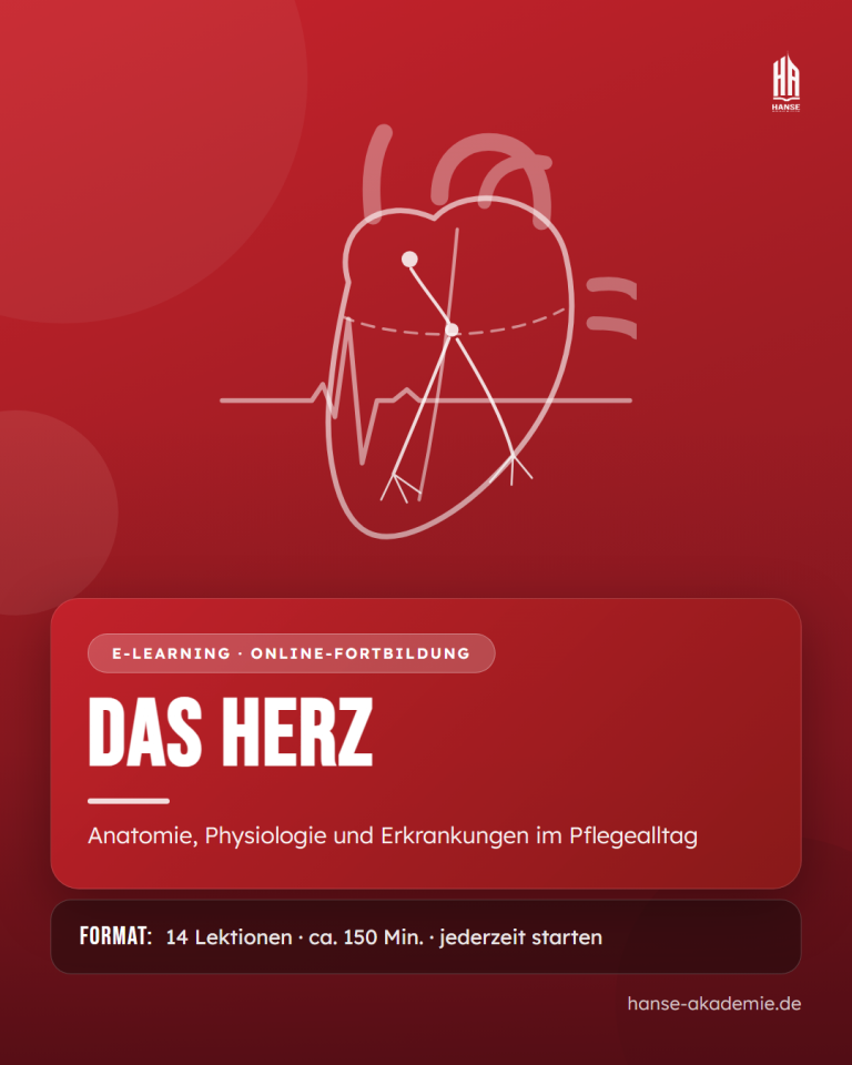 Das Herz – Anatomie, Physiologie und Erkrankungen im Pflegealltag
