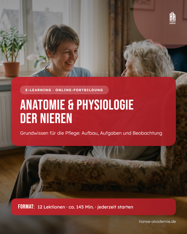 Anatomie und Physiologie der Nieren